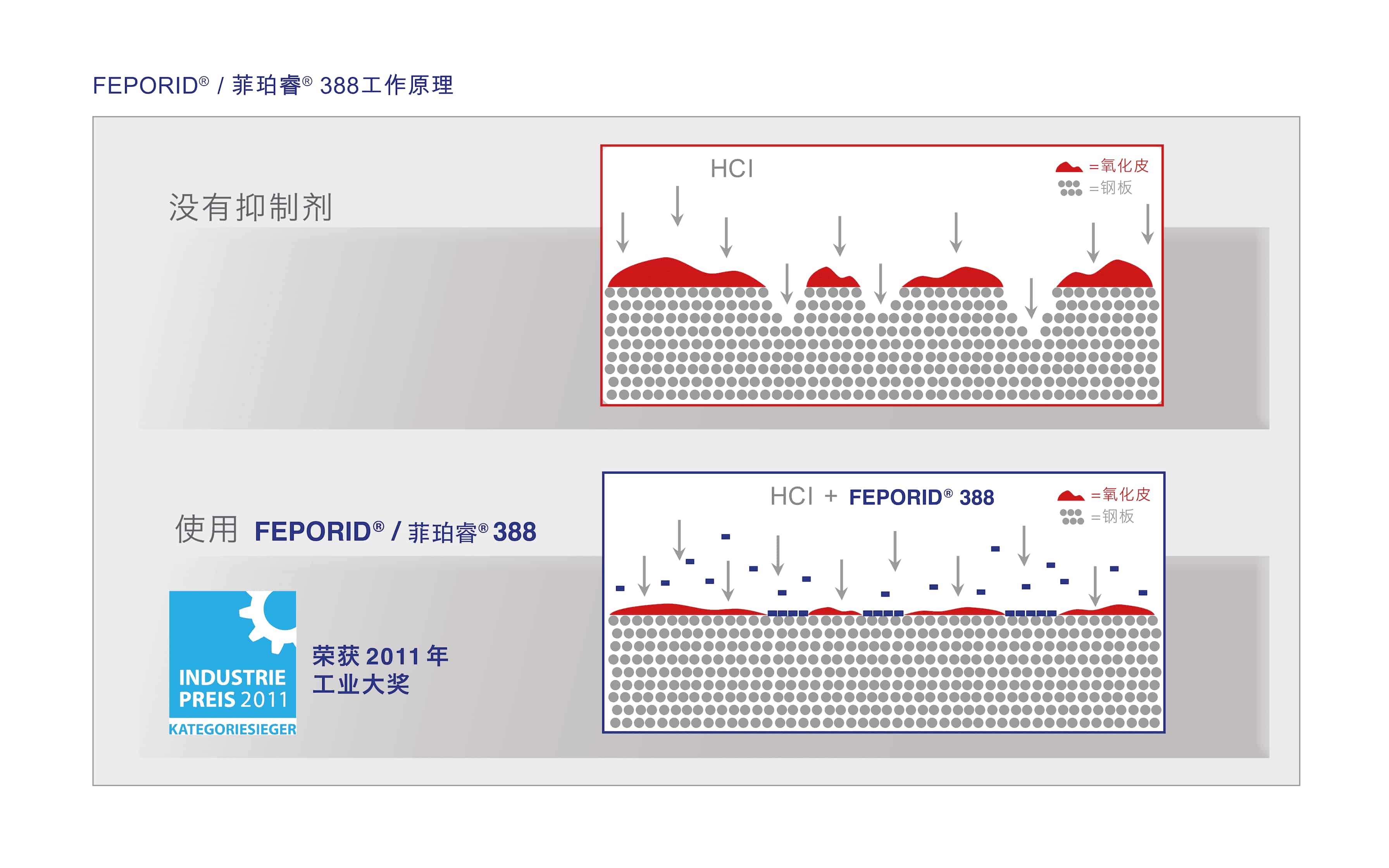 Feporid_工作原理